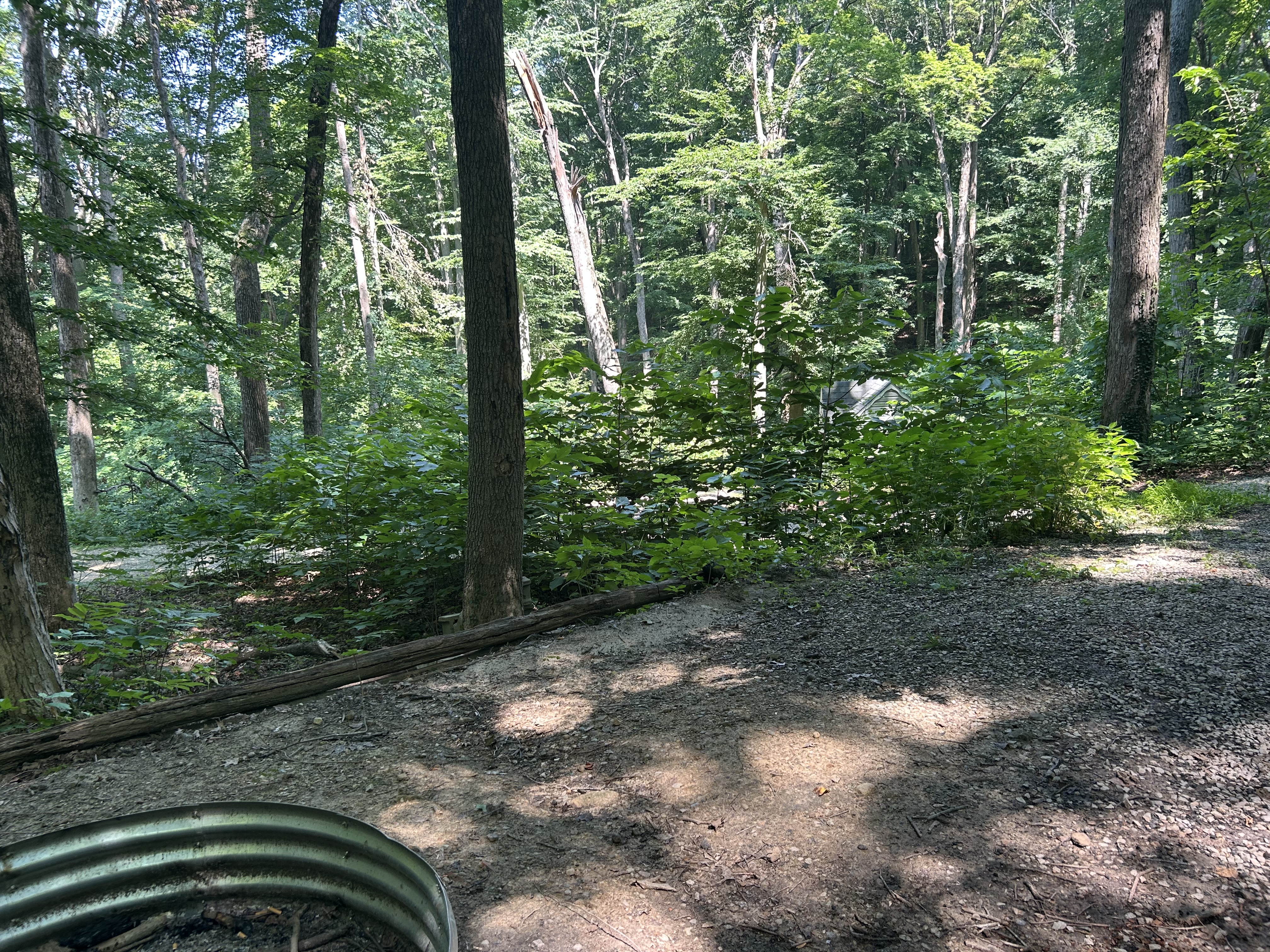 Camp photo 2