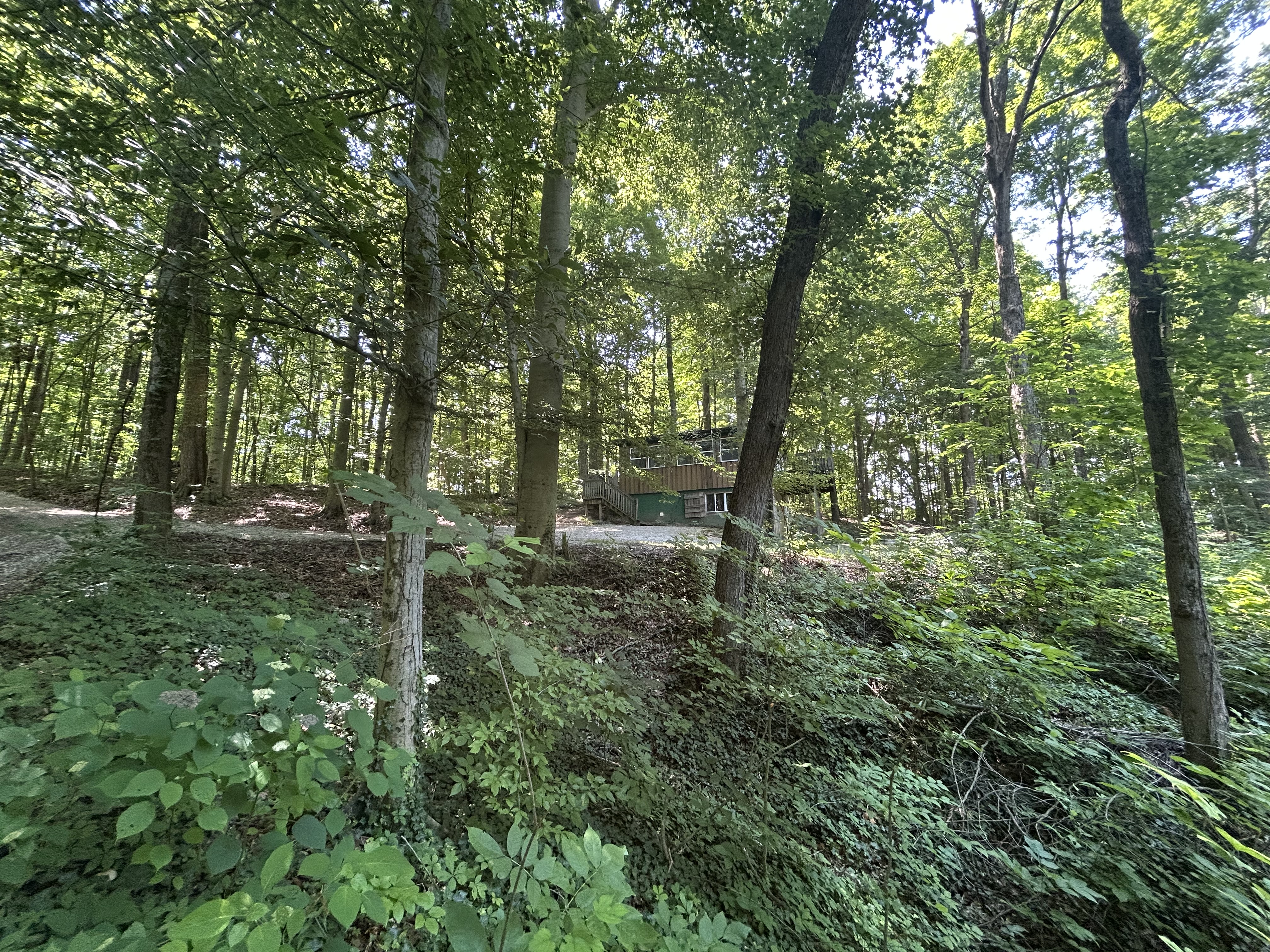 Camp photo 5