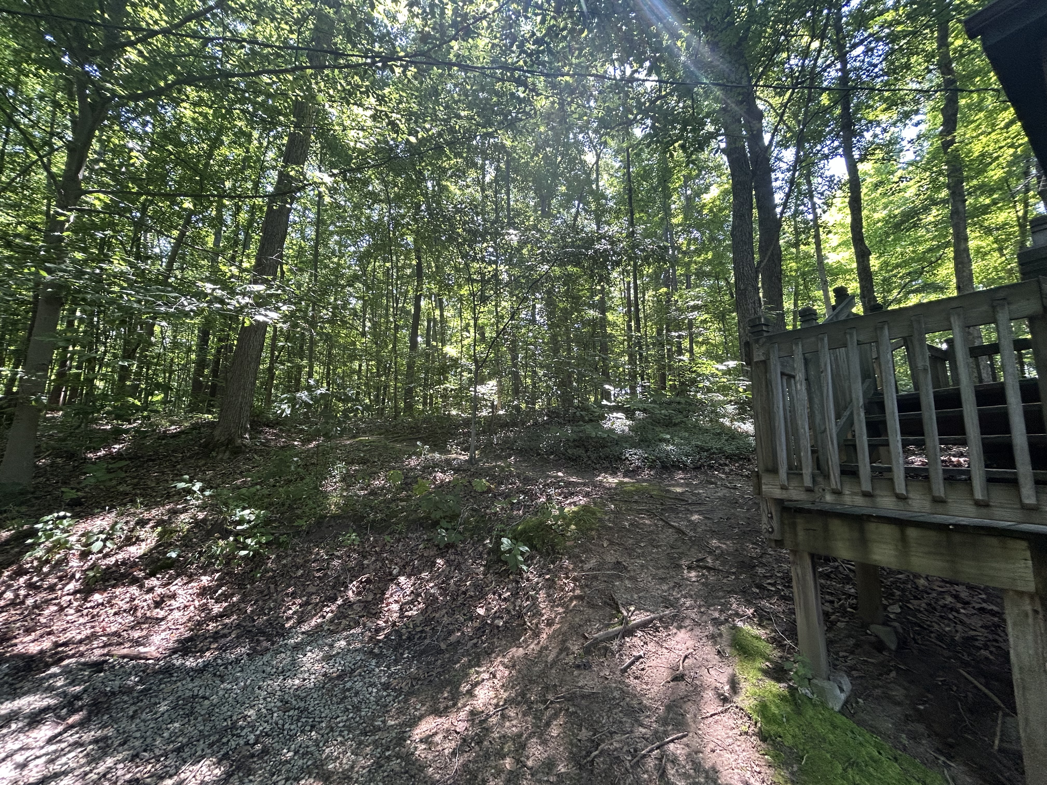 Camp photo 1