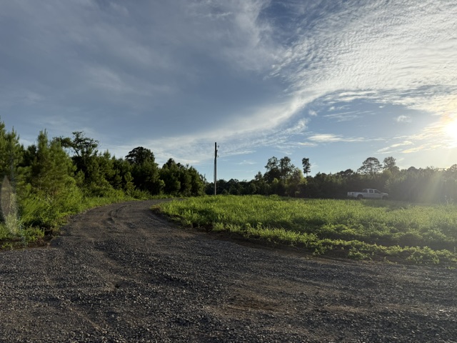 Camp photo 2