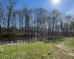 Camp photo 3