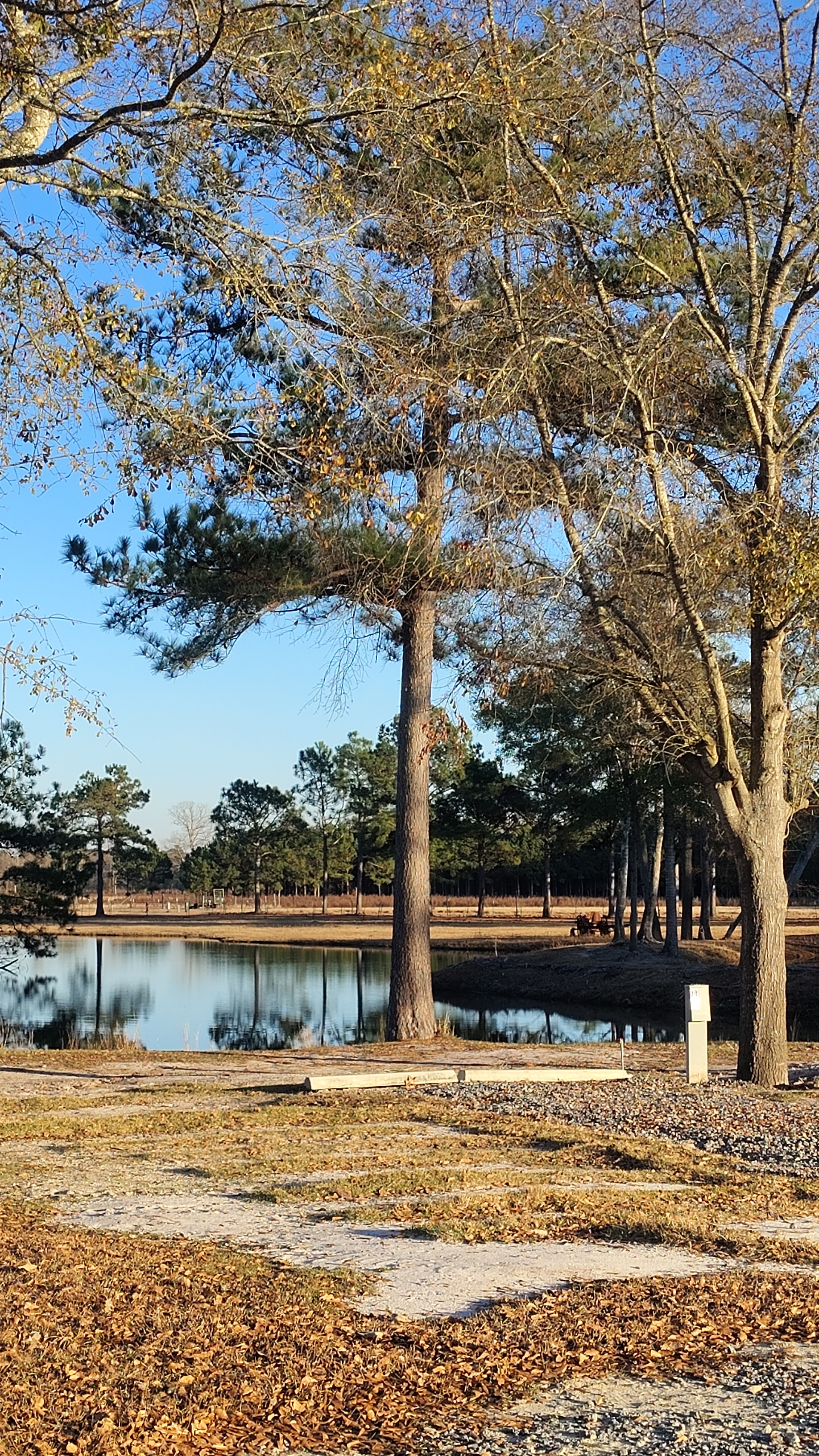Camp photo 1