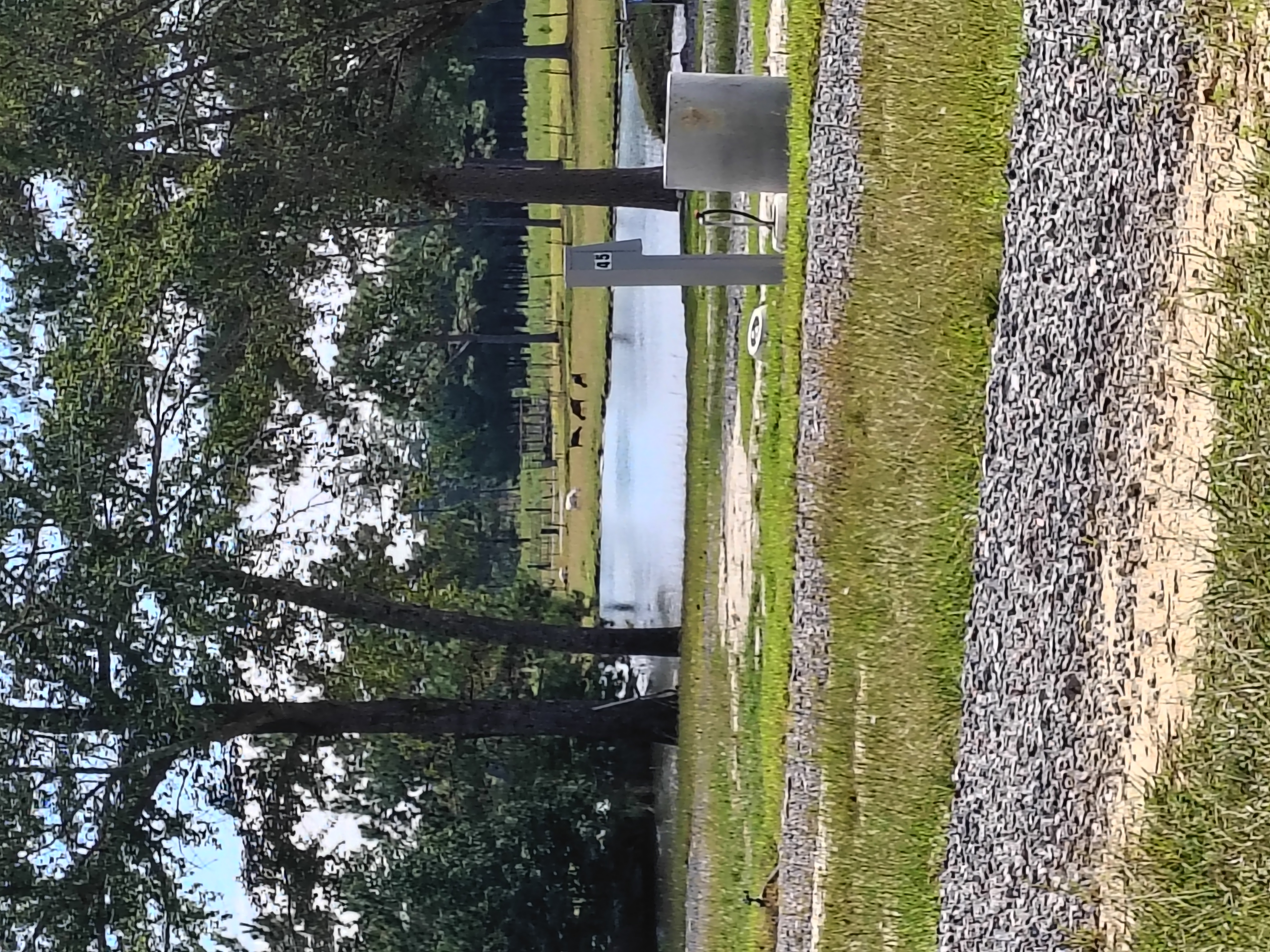 Camp photo 5