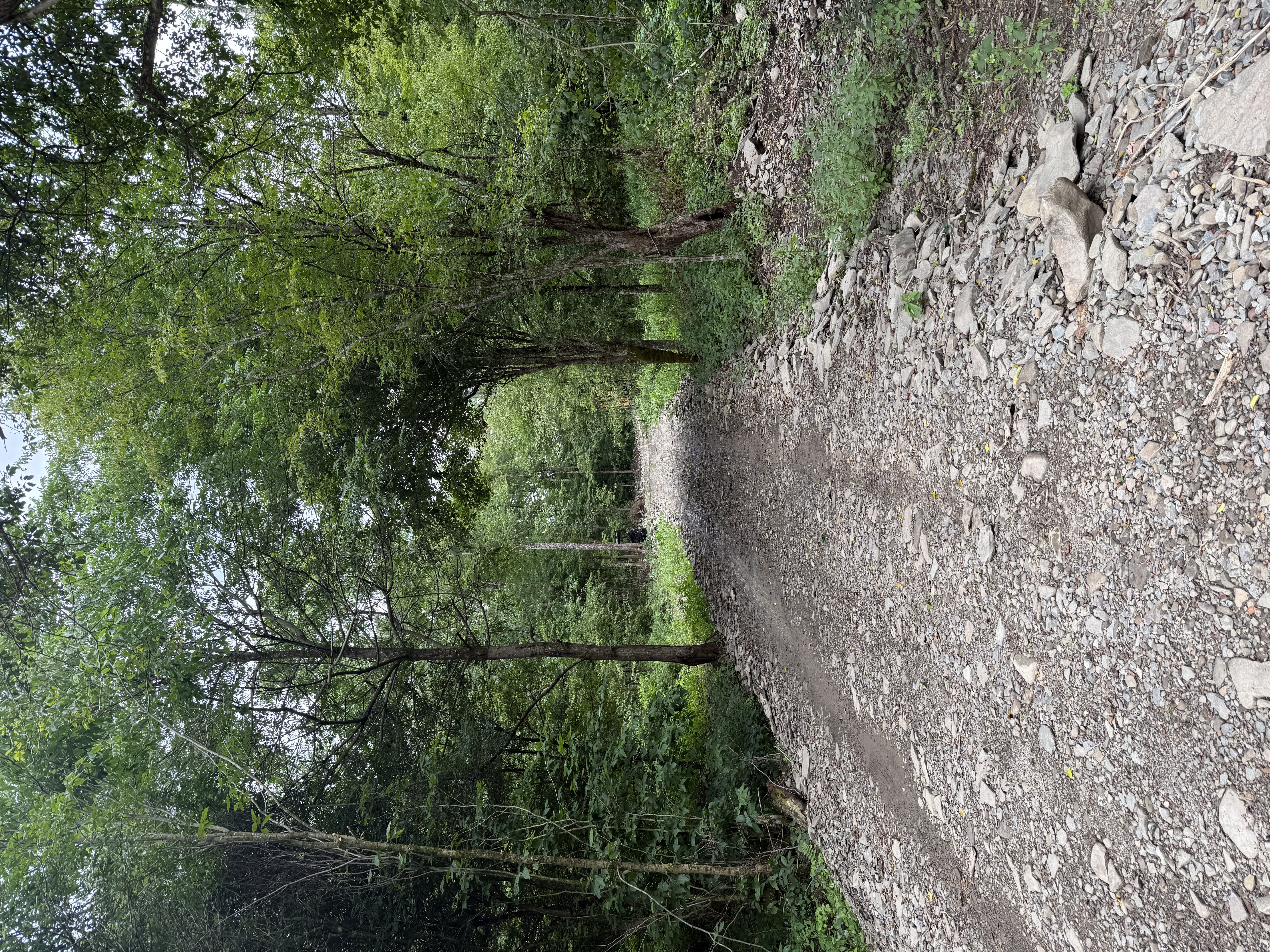 Camp photo 3