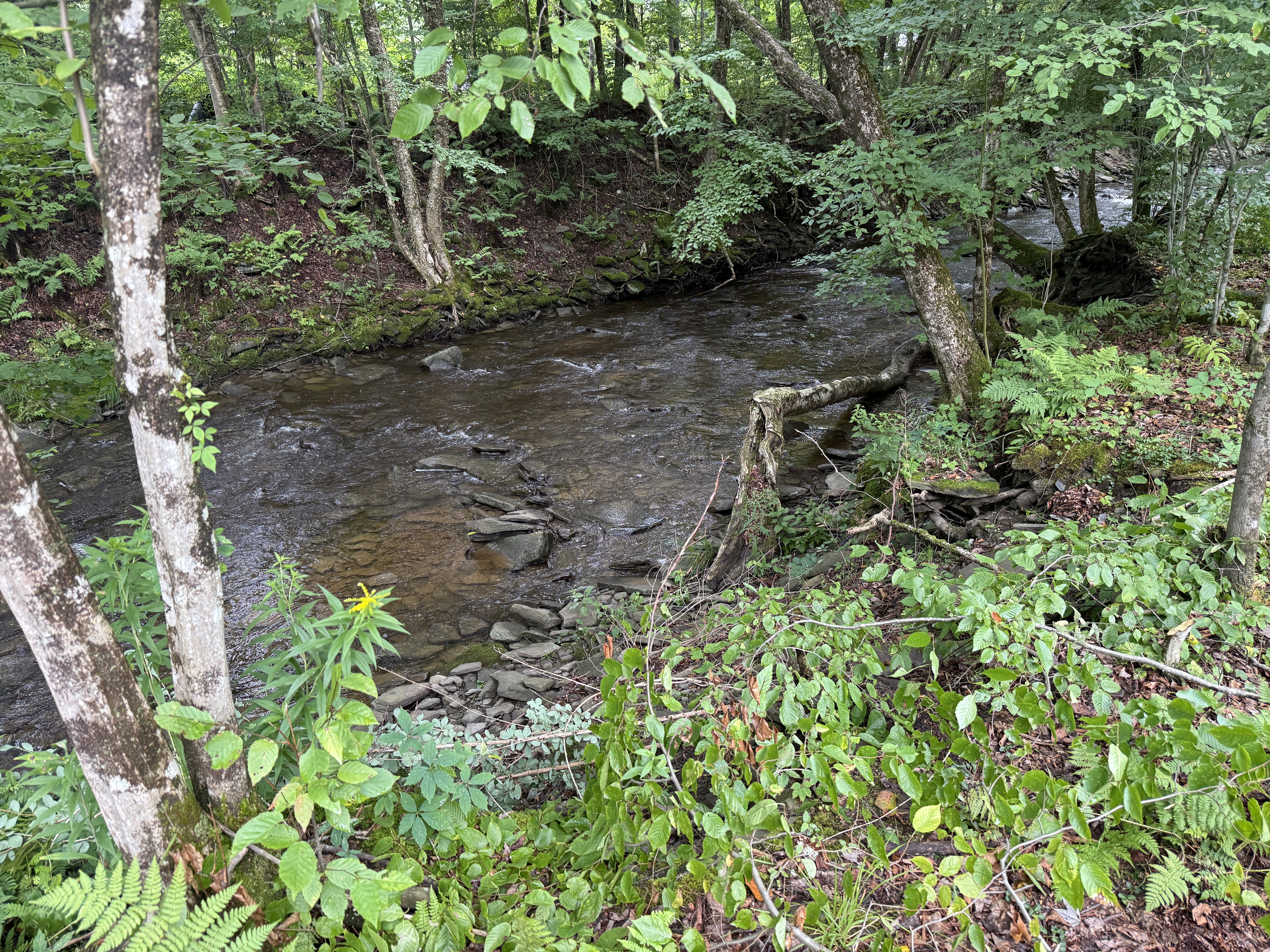 Camp photo 5