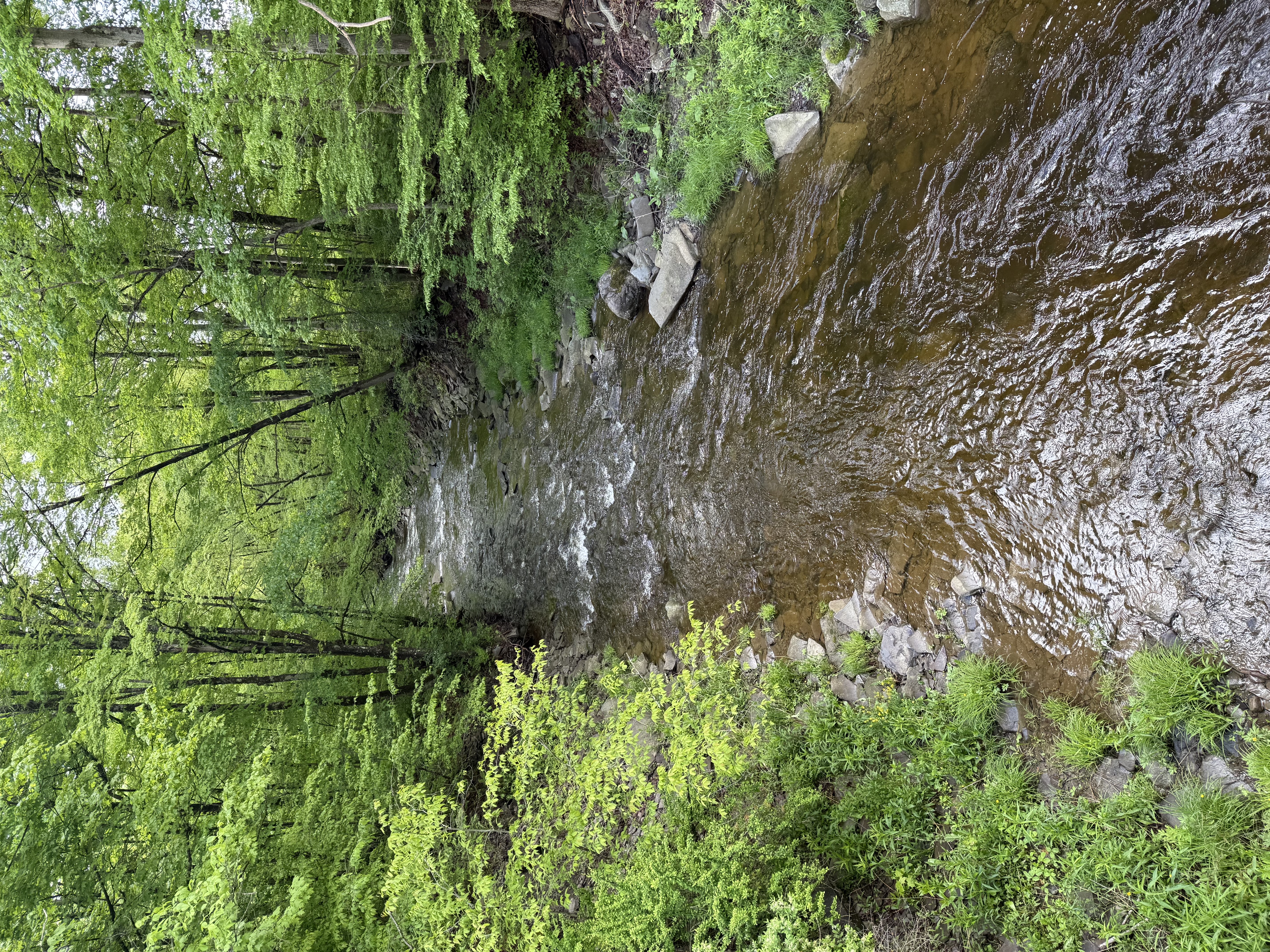 Camp photo 1