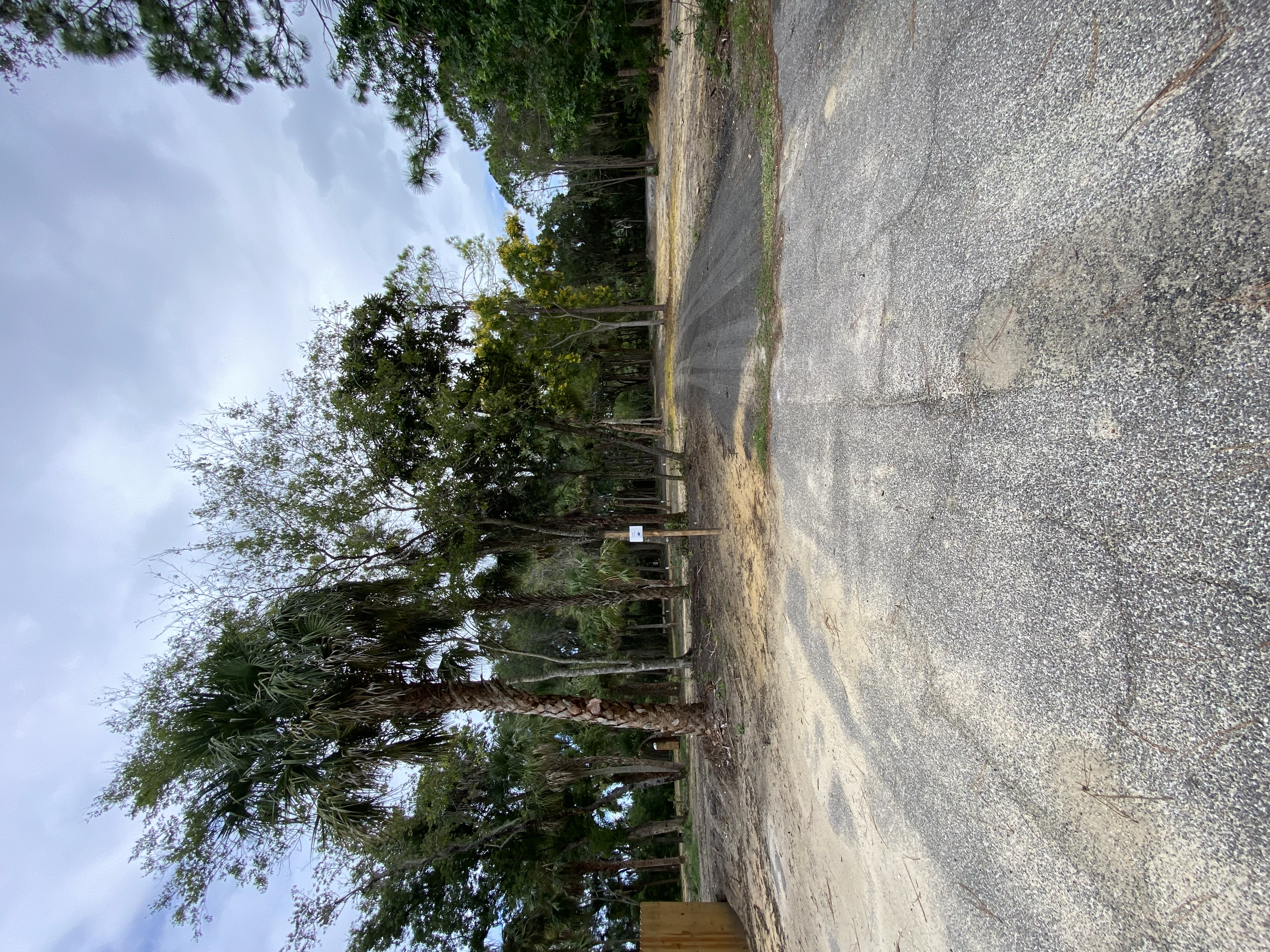 Camp photo 2