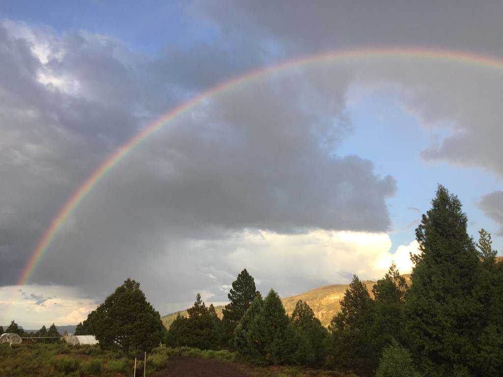 Camp photo 1