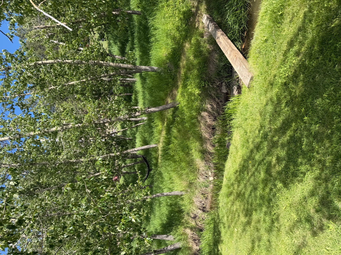 Camp photo 4
