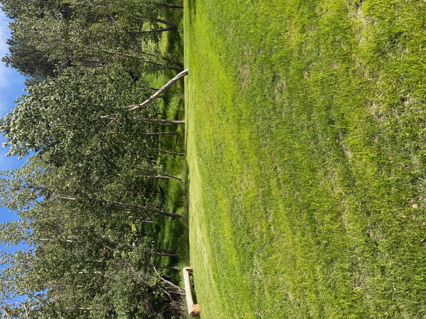 Camp photo 2