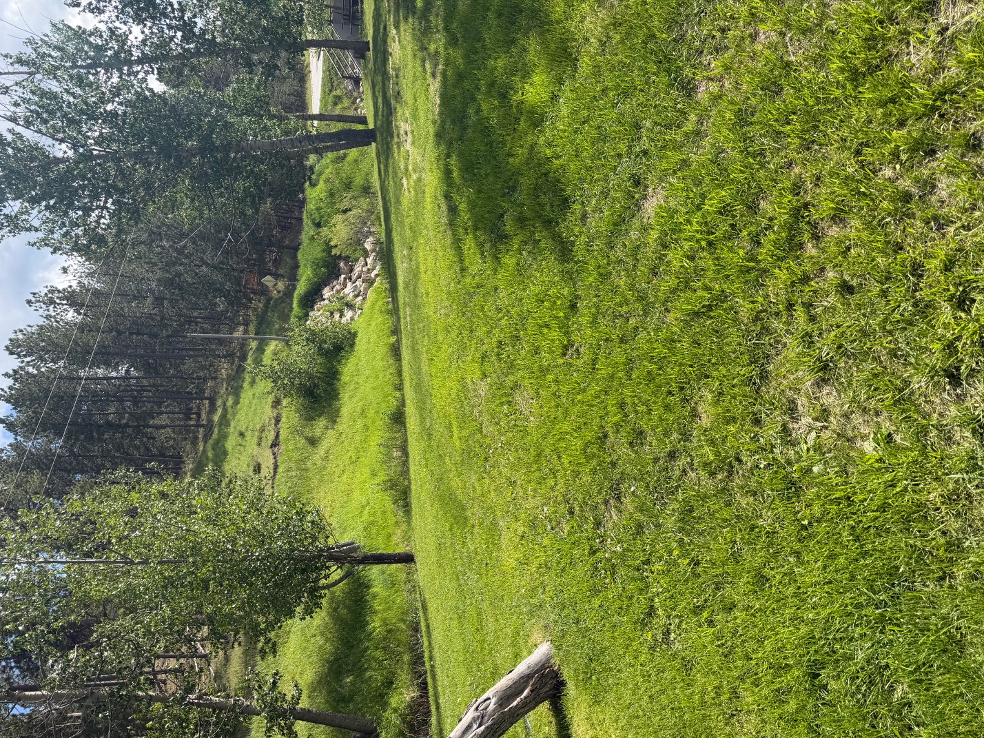 Camp photo 3