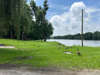 Camp photo 1