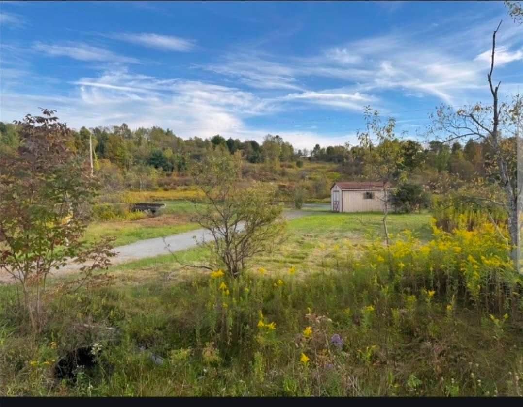 Camp photo 2